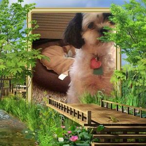 Meet your Posher, Butch